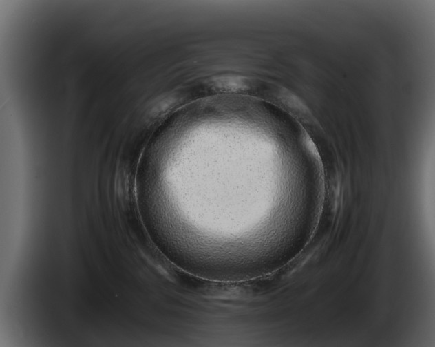 X0000085780330200703231251