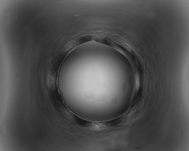 X0000085780333200703231251