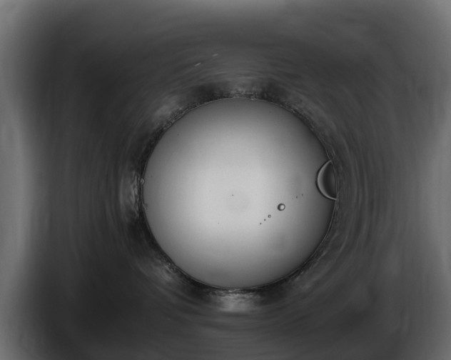 X0000085780336200703231251