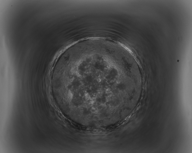 X0000085780337200703231250