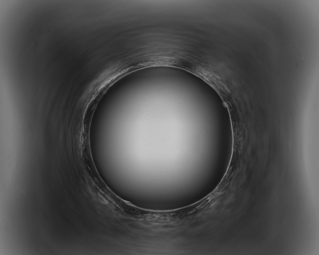 X0000085780338200703231251