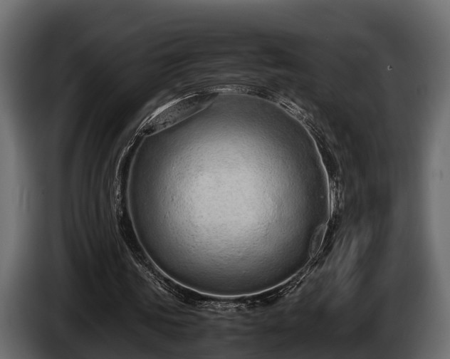 X0000085780339200703231251