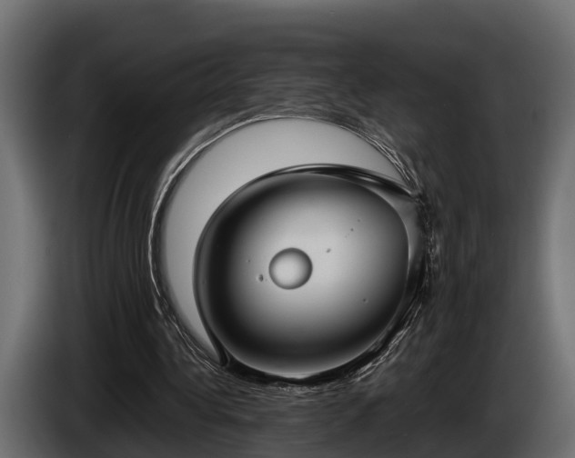 X0000085780340200703231251