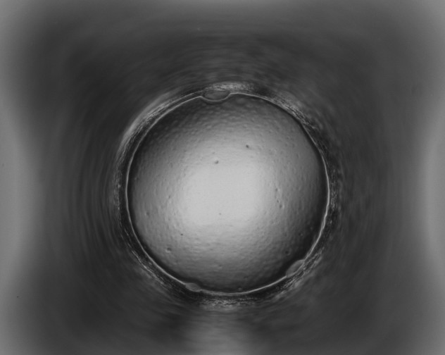 X0000085780341200703231251