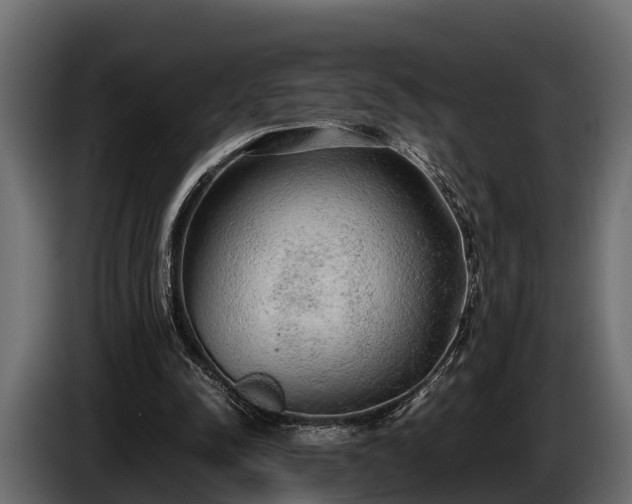 X0000085780342200703231251