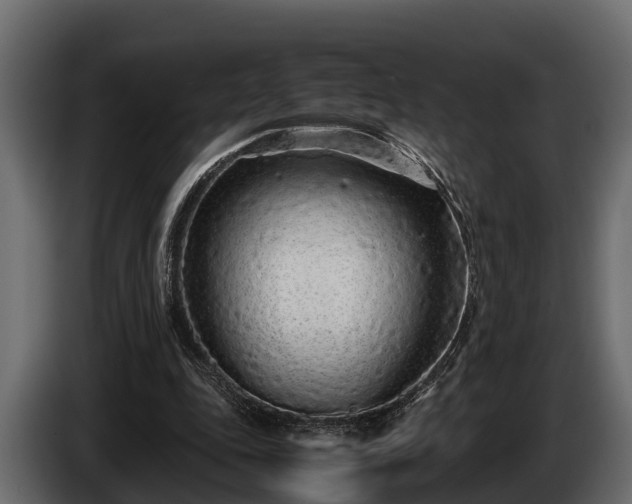 X0000085780343200703231251