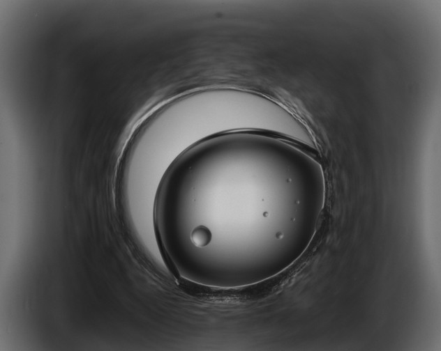 X0000085780344200703231251