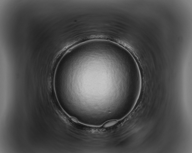 X0000085780345200703231251