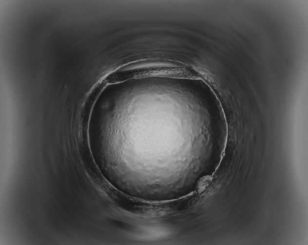 X0000085780347200703231251