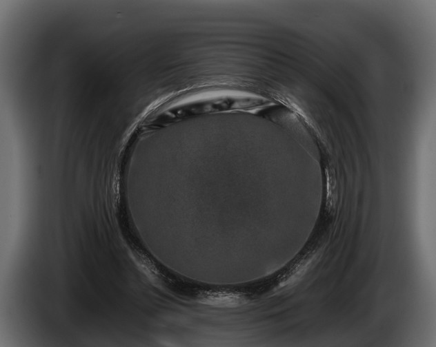 X0000085780348200703231251