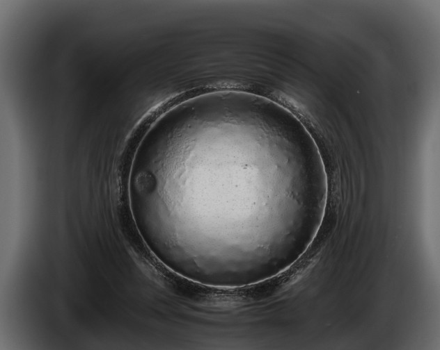 X0000085780351200703231251