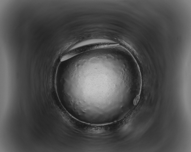 X0000085780353200703231251