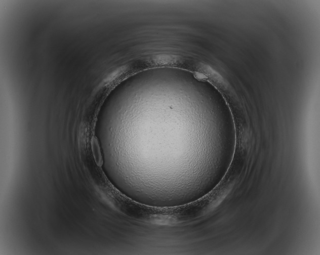 X0000085780356200703231251