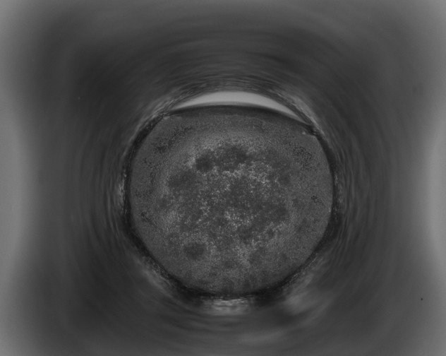 X0000085780357200703231251