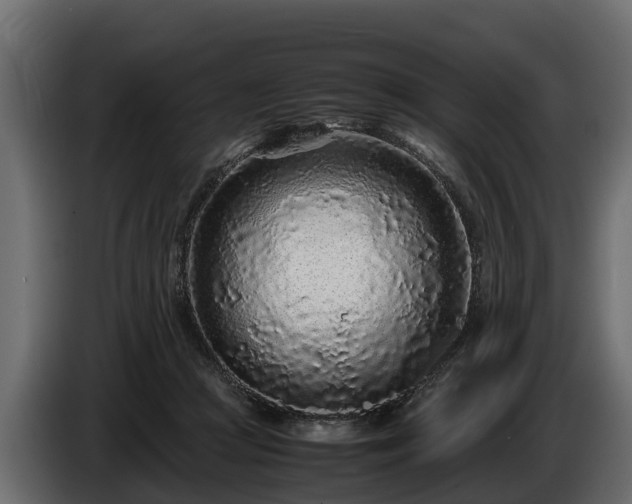 X0000085780361200703231251