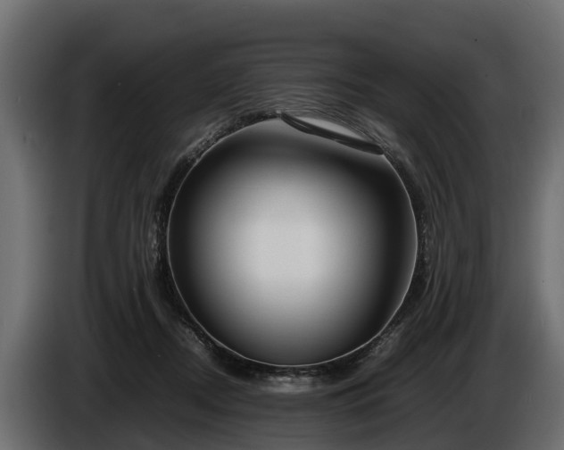 X0000085780362200703231251