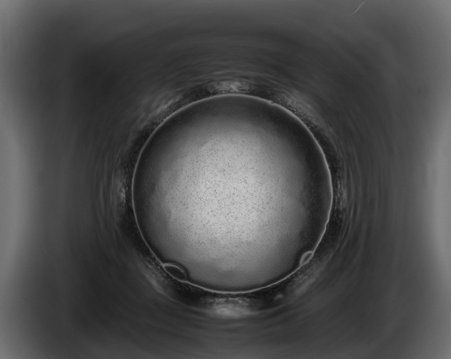 X0000085780363200703231251