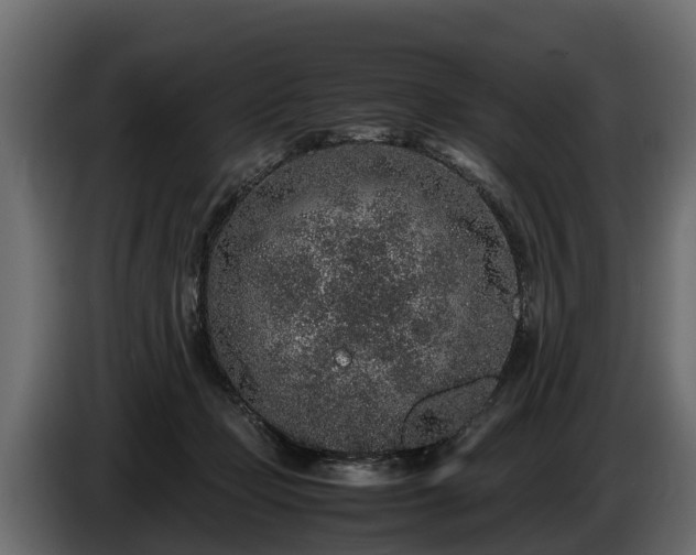 X0000085780365200703231251