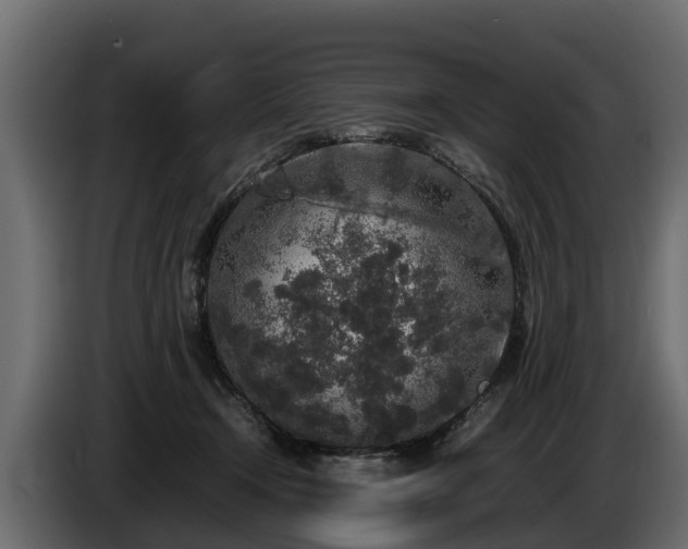 X0000085780366200703231251