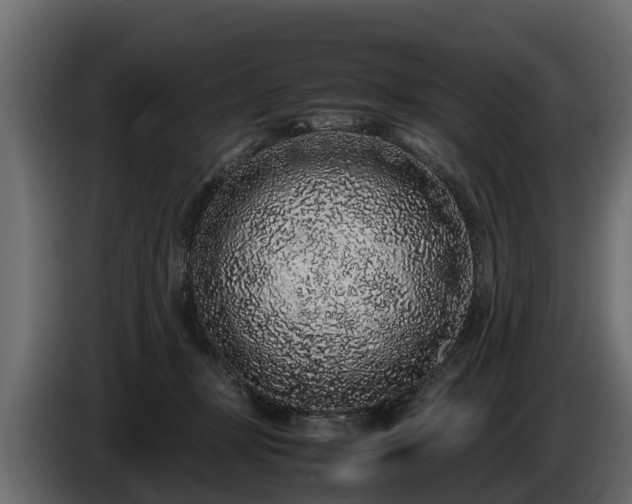 X0000085780367200703231251