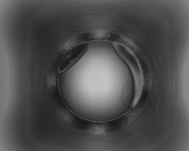 X0000085780368200703231251