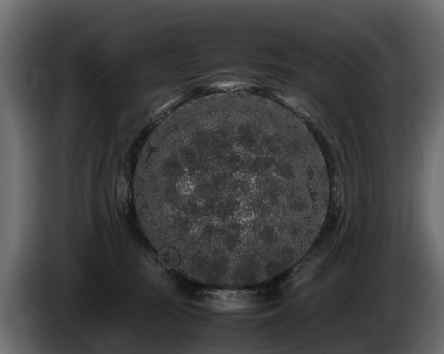 X0000085780371200703231251