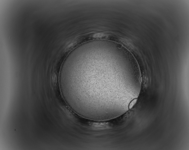 X0000085780375200703231251