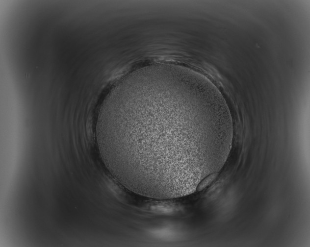 X0000085780377200703231251