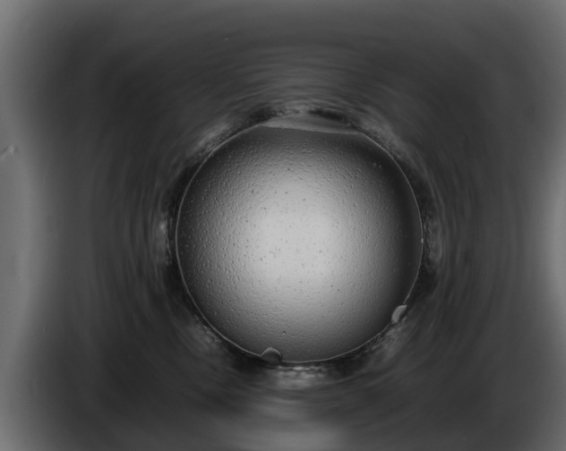 X0000085780378200703231251