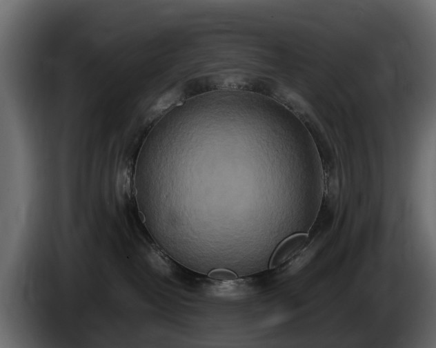 X0000085780382200703231251