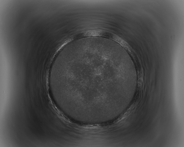 X0000085780386200703231250