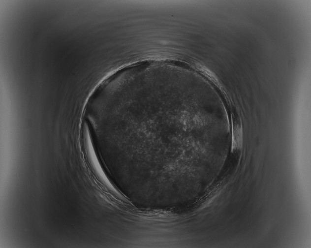 X0000085780387200703231250