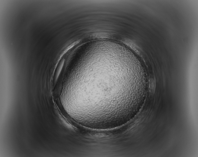 X0000085780390200703231250