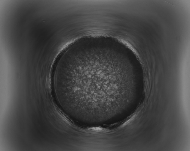 X0000085780391200703231250