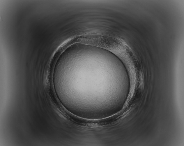 X0000085780392200703231250