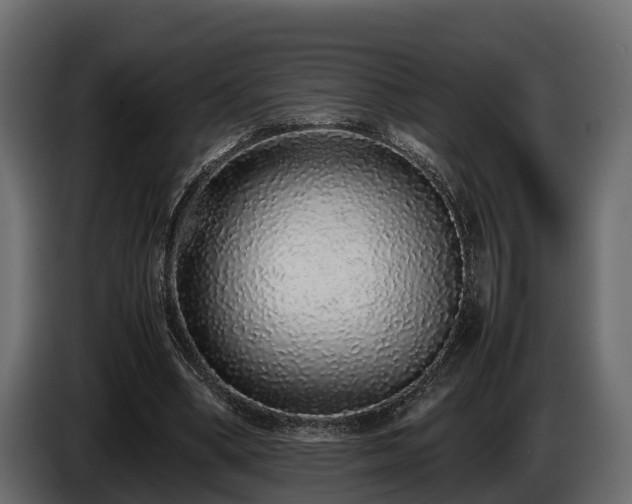 X0000085780394200703231250