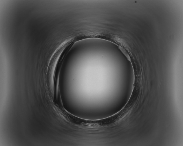 X0000085780395200703231250