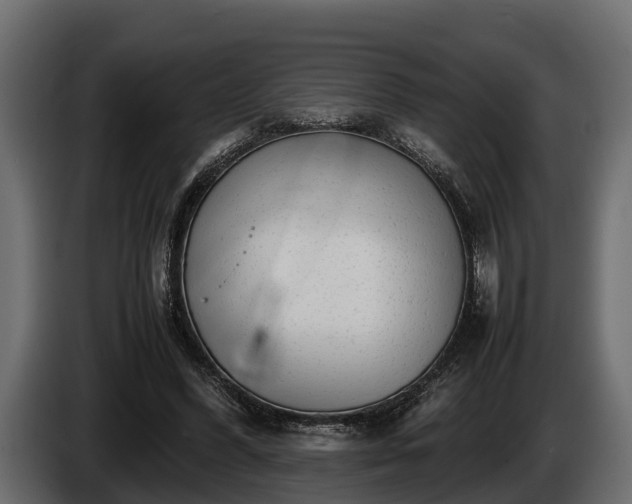 X0000085780396200703231250