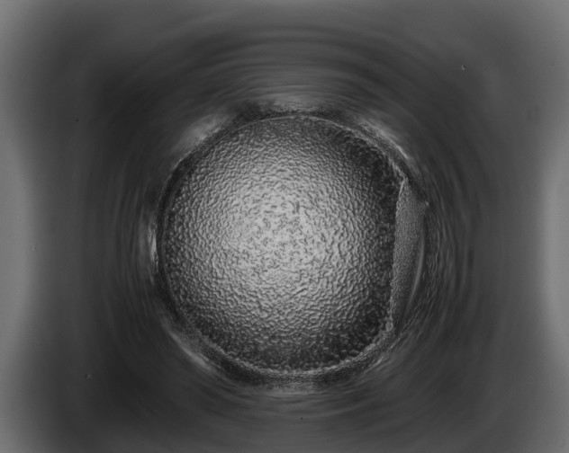 X0000085780398200703231250