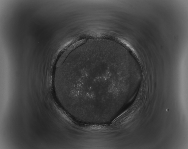 X0000085780399200703231250