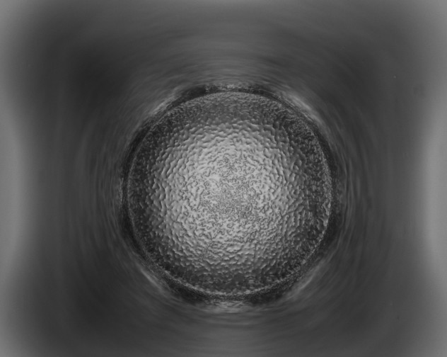 X0000085780401200703231250