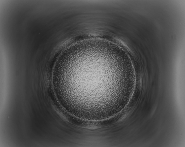 X0000085780402200703231250