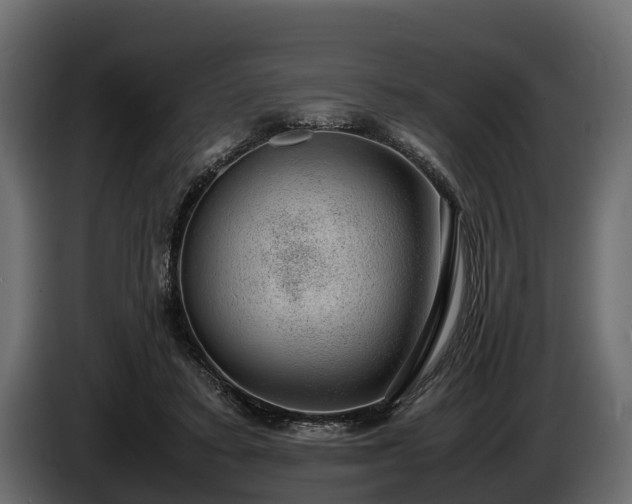 X0000085780403200703231250