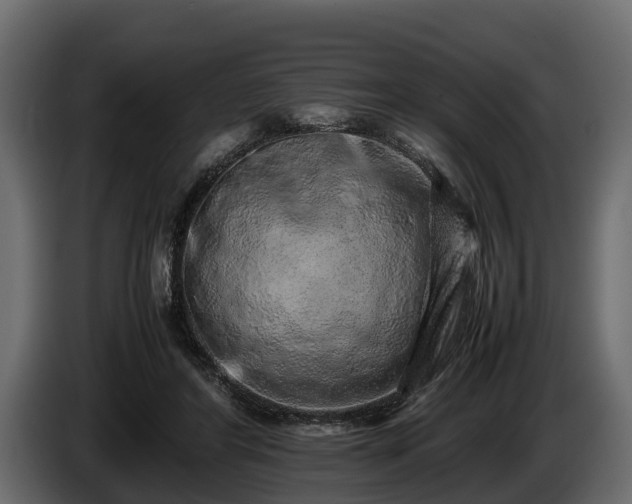 X0000085780404200703231250