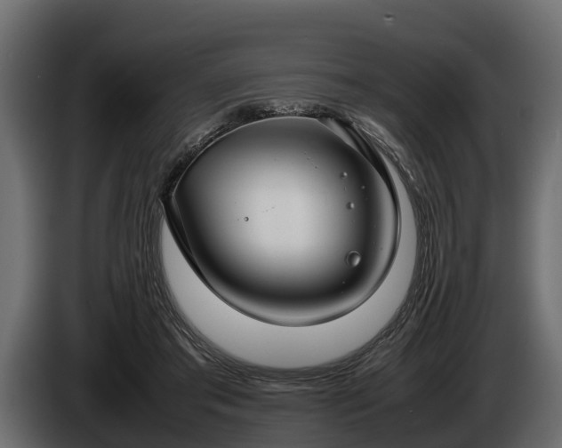 X0000085780405200703231250