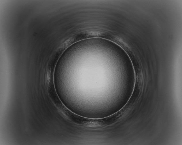 X0000085780406200703231250