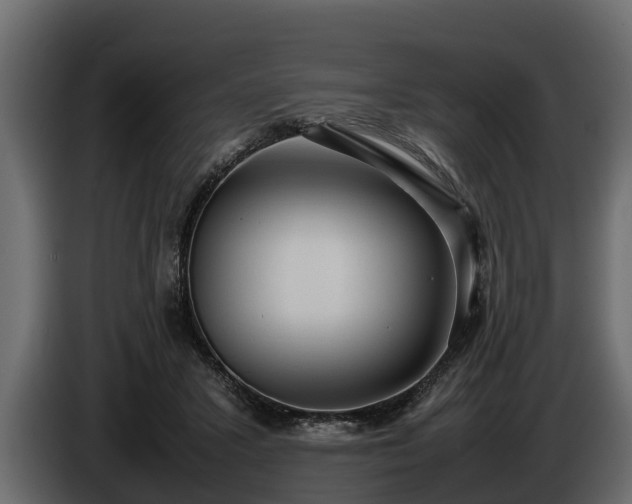 X0000085780407200703231250