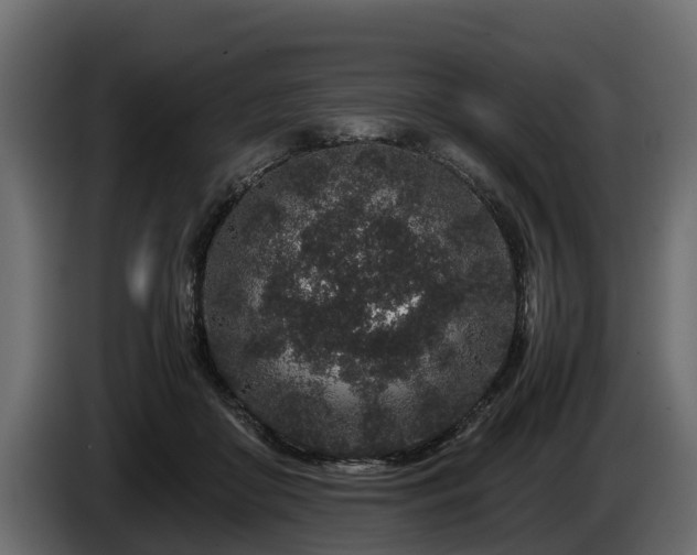 X0000085780410200703231250