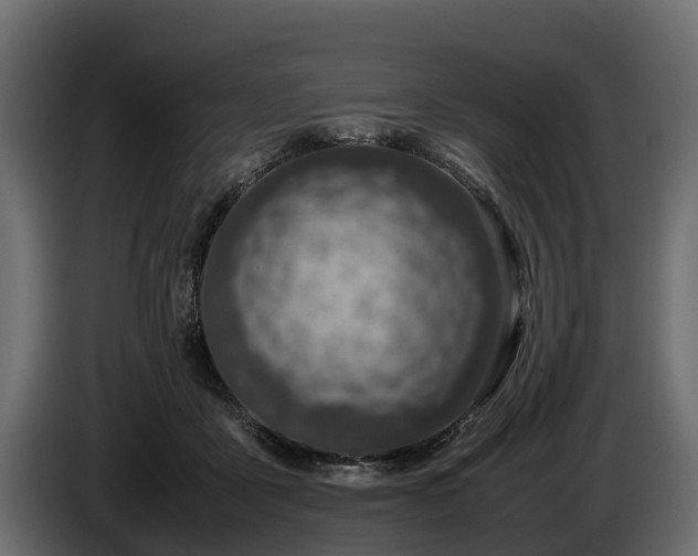 X0000085780411200703231250