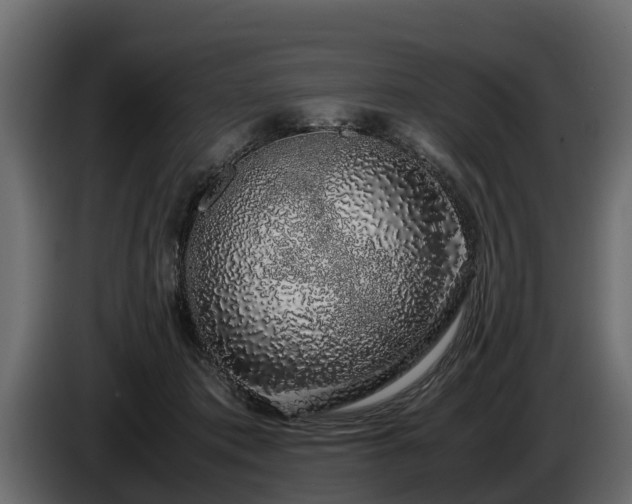 X0000085780413200703231250